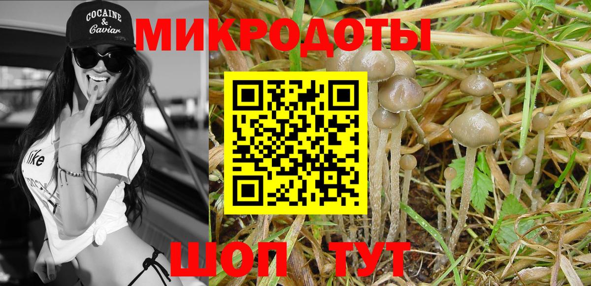 Псилоцибиновые грибы Cubensis Санкт-Петербург