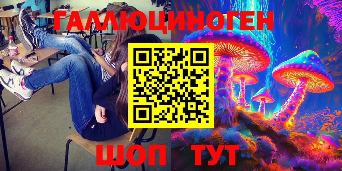 Санкт-Петербург  Галлюциногенные грибы Psilocybine cubensis  Вход с VPN 