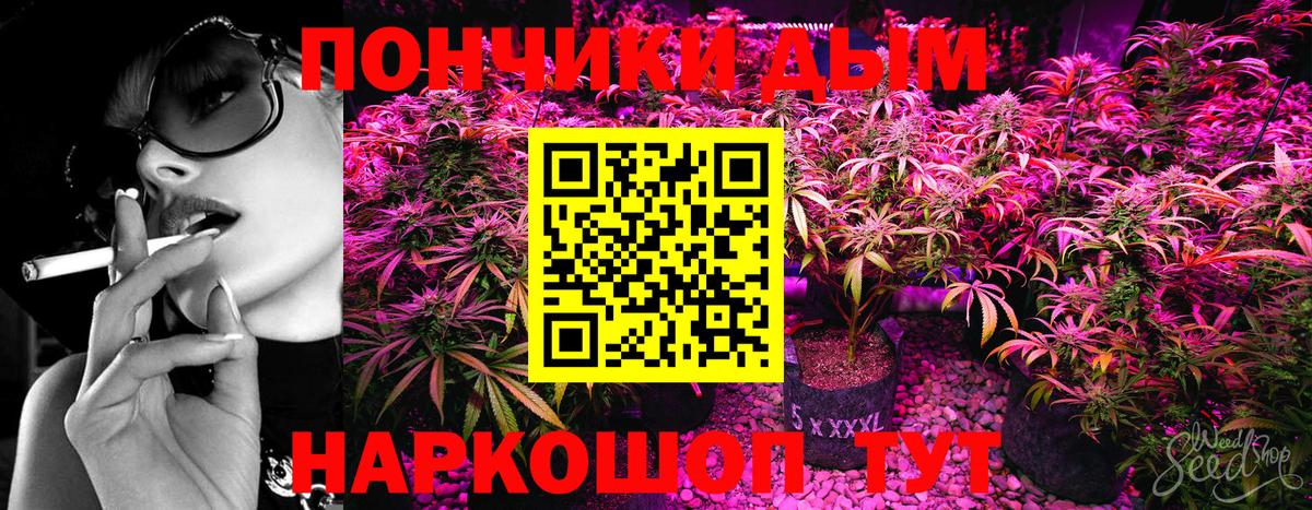 Конопля Ganja  Бошки Шишки White Widow  Канабис сатива  Конопля план  Вход с VPN  Санкт-Петербург 